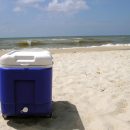 coolers for the beach